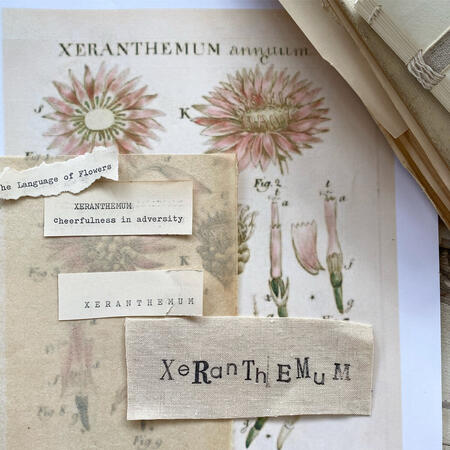 overgrowth; flowerfell