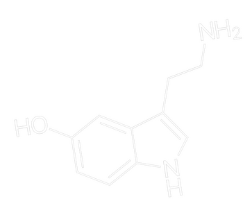 serotonin